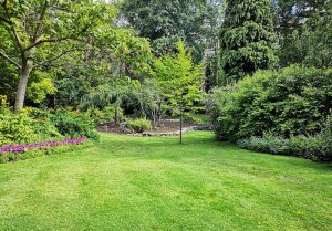 Optimiser l'expérience du jardin à Saint-Jean-des-Vignes