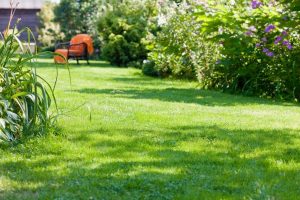 travaux jardin et paysage Saint-Jean-des-Vignes